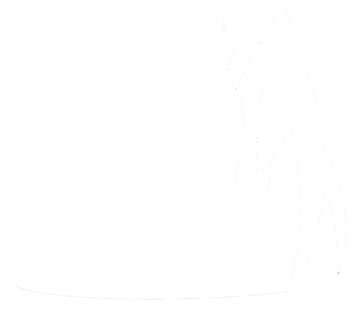 The Online Horse Sale